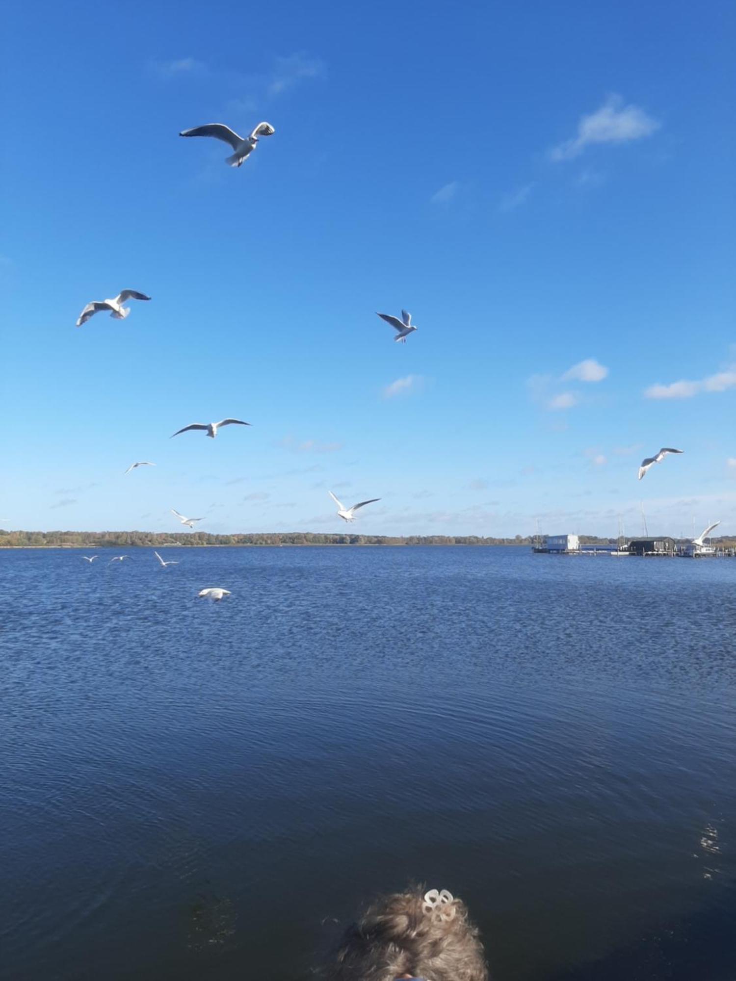 Hotel Perle Am Bodden Ribnitz-Damgarten Esterno foto